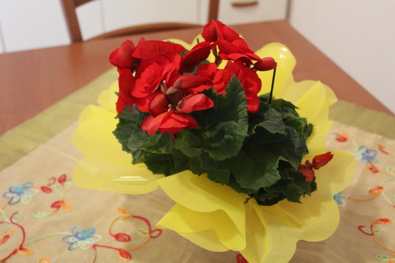 شقة ماراوْسا  في Hibiscus المظهر الخارجي الصورة